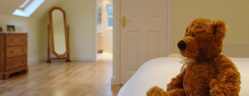 Teddy bear in loft conversion bedroom